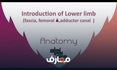 علاج الطبيعى