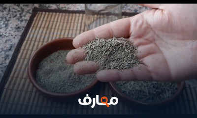 وصفات علاجية