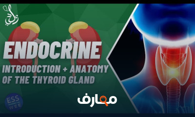 Endocrine Surgery | جراحة الغدد الصماء