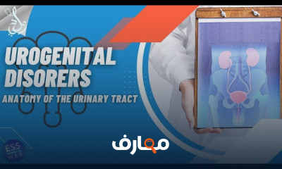 Urogenital Disorders | إضطرابات الجهاز البولى التناسلى