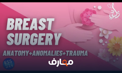 Breast Surgery | جراحة الثدى