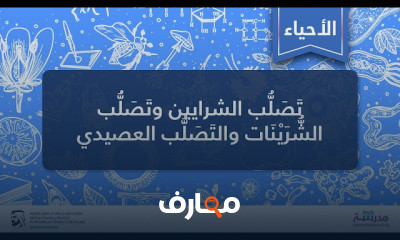 تصلب الشرايين وتصلب الشرينات والتصلب العصيدي