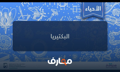 البكتيريا