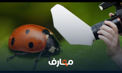 تصوير الماكرو Macro Photography