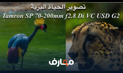 تصوير الحياة البرية Wildlife Photography