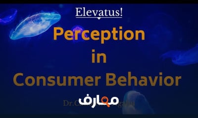 عوامل نفسية تؤثر على القرارات Psychological Factors Influencing Decisions
