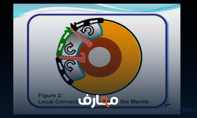 هندسة الزلازل Earthquake Engineering