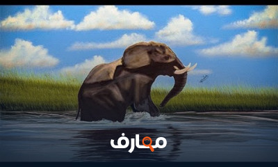 فنون الرسم الرقمي