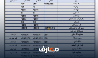 المحاسبة الإلكترونية