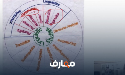 علم الصوتيات لآداب إنجليزي