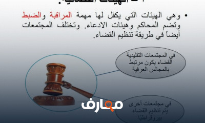 علم الاجتماع والمشاركة السياسية