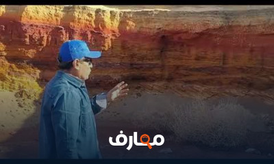 الصخور الرسوبية Sedimentary Rocks