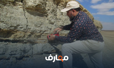الطباقية المغناطيسية Magnetostratigraphy