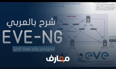 أساسيات SDN