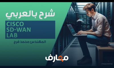 أساسيات Cisco SD WAN Lab