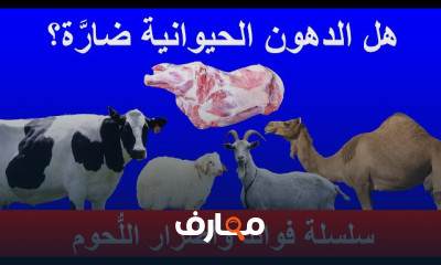 فوائد واضرار اللحم للسكري والسمنة