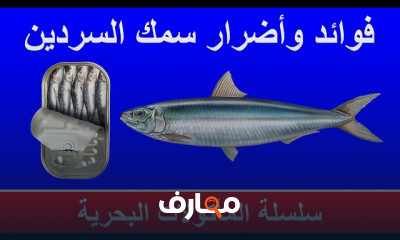 المأكولات البحرية للسكري ومرضى السمنة