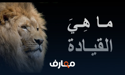 مهارات المدير الناجح فى كل بيئات العمل