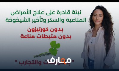 نبتة البوسويليا لعلاج آلام المفاصل والتهابات الأمعاء