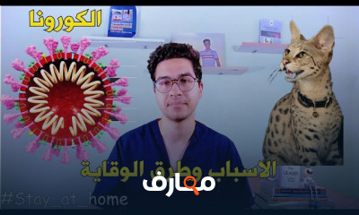 أطعمة لزيادة المناعة وتقويتها