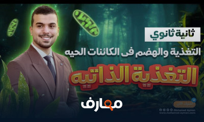 الجهاز التنفسى أحياء ثانية ثانوى 2024