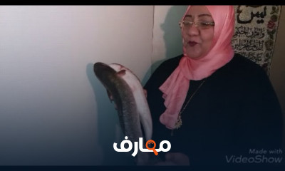 طريقة تخليل الفسيخ للمبتدئين