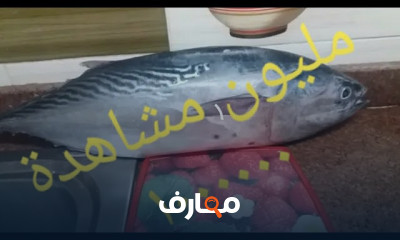 طريقة تخليل البساريا بطريقة صحيحة