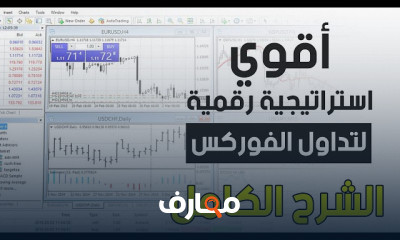 استراتيجيات الفوركس
