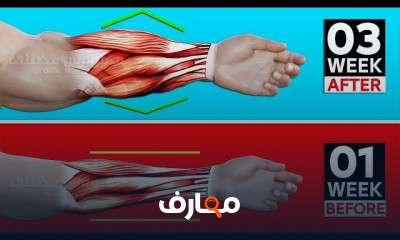 تمرين سواعد