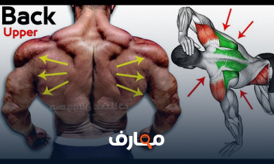 تمرين ظهر كامل