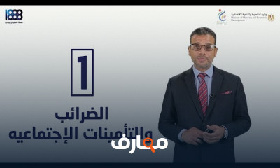 القوانين ذات الصله بتأسيس الشركة أو نشاطها