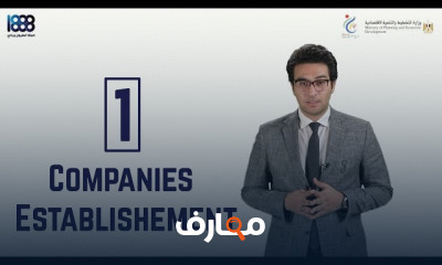 أنواع الشركات فى مصر ونشاطها