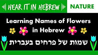 كورس - دورة تدريبية لتعليم  Nature Words: Hebrew Vocab  Vocabulary