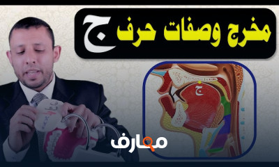 مخارج الحروف وصفاتها ثلاثية الأبعاد على نموذج الفم واللسان