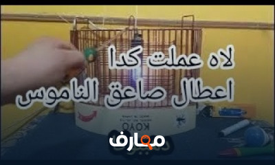 إصلاح أعطال صاعق الناموس بالخطوات