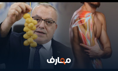 فوائد الفواكه للصحة