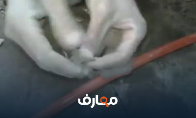 قسم الكهرباء والكنترول والplc