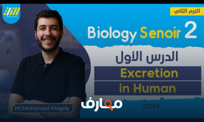 النسيج العصبي أحياء ثانية ثانوى الترم الثاني 2024