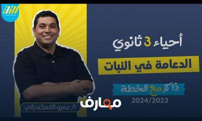 الدعامة في الانسان أحياء ٣ثانوى 2024