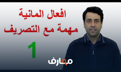 أفعال الكينونة والملكية للغة الألمانية للمبتدئين