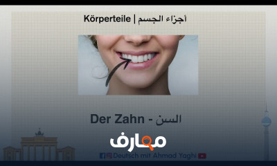 أجزاء الجسم فى اللغة الألمانية للمبتدئين