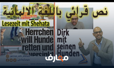 كيفية قراءة وفهم المقالات الألمانية من البداية