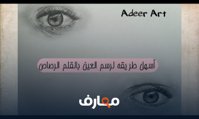 أساسيات رسم الطبيعة الصامتة بالخطوات للمبتدئين