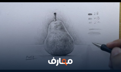أساسيات تظليل الطبيعة الصامتة بالرصاص بالخطوات