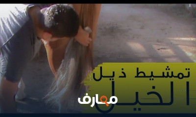 الرعاية بالخيل