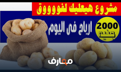 أفضل مشروع من البيت بميزانية صغيرة وتحقيق أرباح كبيرة