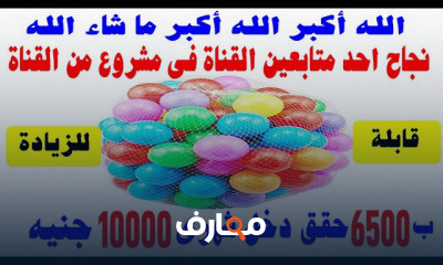 أفكار مشاريع صغيرة مربحة للنساء للمبتدئين
