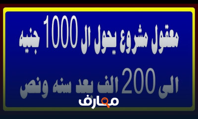كيف تبدأ مشروعا منزليا بميزانية 1000ج وأرباح كبيرة