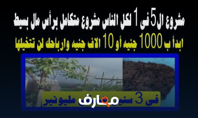 مشروع منزلي ب 1000 ج بأرباح 200 ألف خلال سنة ونصف