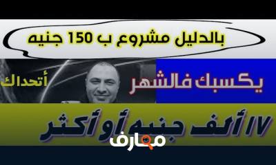 مشاريع مربحة على الإنترنت بالمنزل للمبتدئين